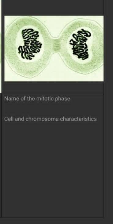 Cell and chromosome characteristics? ​-example-1