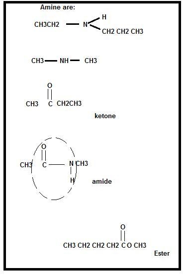 Amines and amides are organic compounds that contain nitrogen. Amines are ammonia-example-1