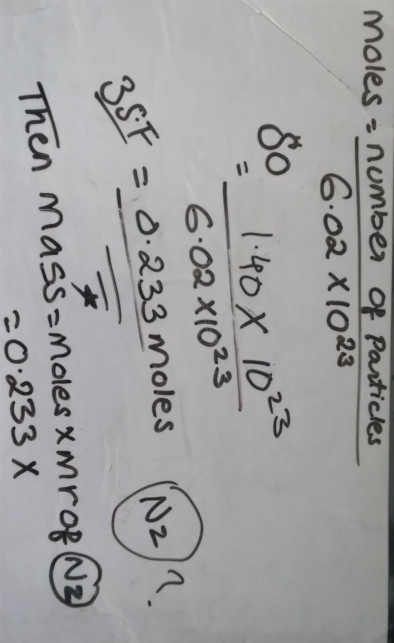 Find the mass, in grams, of 1.40 x 1023 molecules of Nz. *-example-1