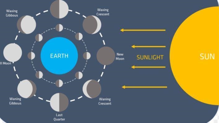 What type of tide would this arrangement of earth-moon-sun create?* O full moon tide-example-1