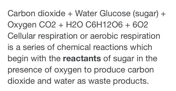 3. carbon dioxide + water → glucose + oxygen.. what is the balance chemical equation-example-1