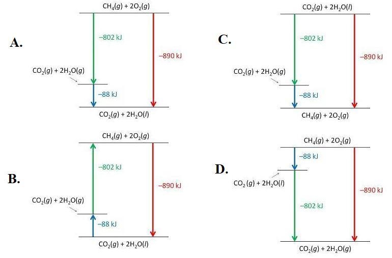 consider the following intermediate reactions. the overall chemical reaction is as-example-1