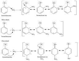 Explain the regiochemical outcome for chlorination of bromobenzene. Ortho attack and-example-1