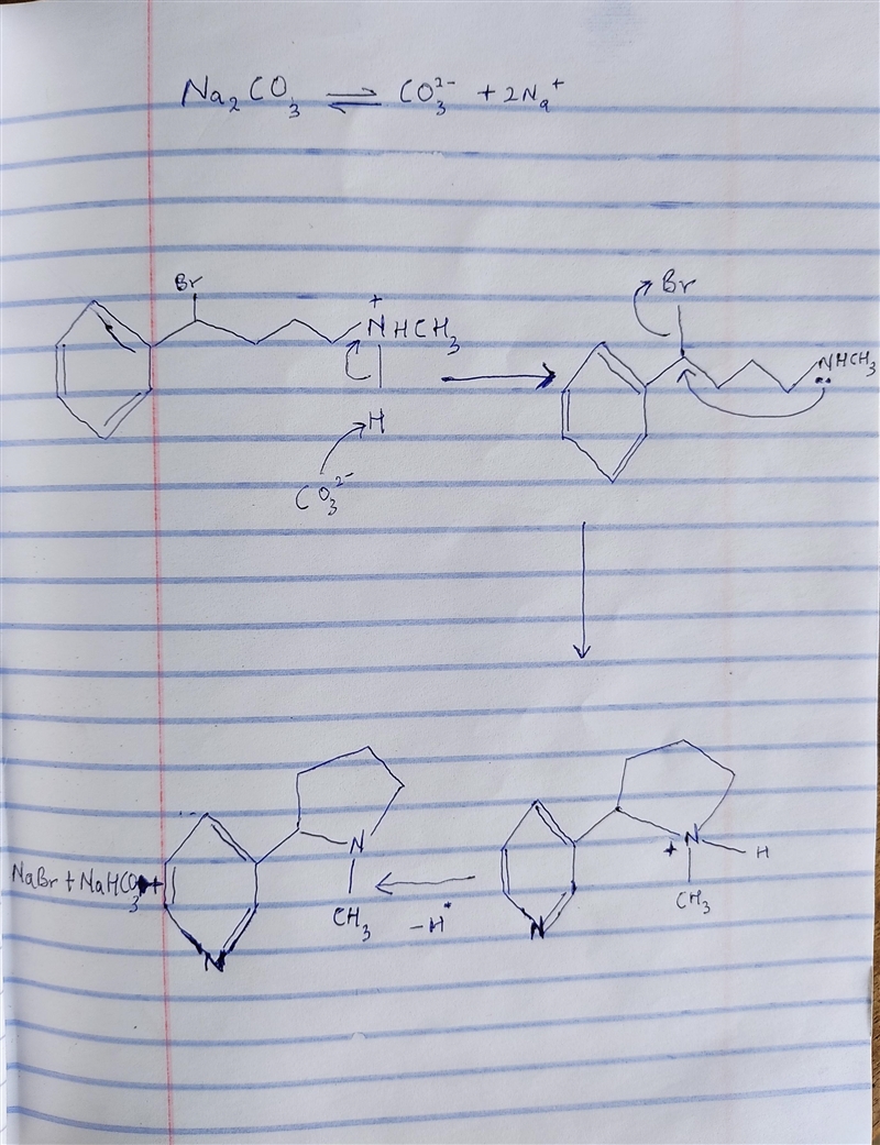 Nicotine can be made when the following ammonium salt is treated with Na2CO3. Draw-example-1