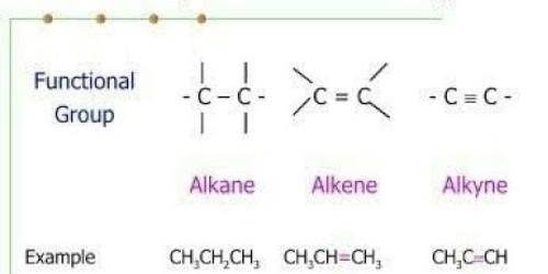 An organic compound that contains only carbon and hydrogen and a triple bond (all-example-1