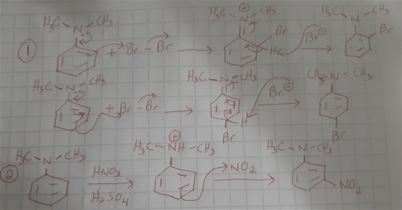 When N,N-Dimethylaniline is treated with bromine, ortho and para products are observed-example-1