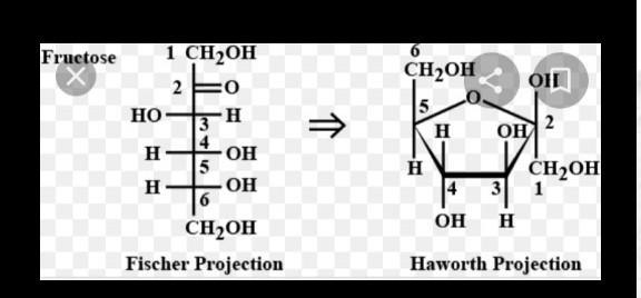 Discuss the haworth and fischer production structure of fructose ​-example-1