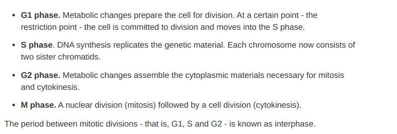 With a well labeled diagram explain the stages of meiosis and mitosis​-example-1