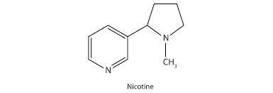 Nicotine is a toxic substance present in tobacco leaves. There are two lone pairs-example-1