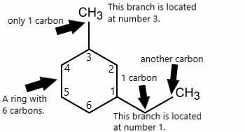 PLEASE HURRY! What is the name of this alkane? A skeletal model has a hexagon ring-example-2