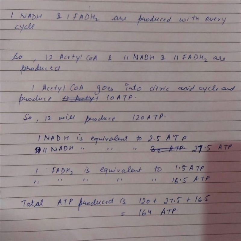 Calculate energy output (ATP production) of full oxidation of saturated fatty acid-example-1