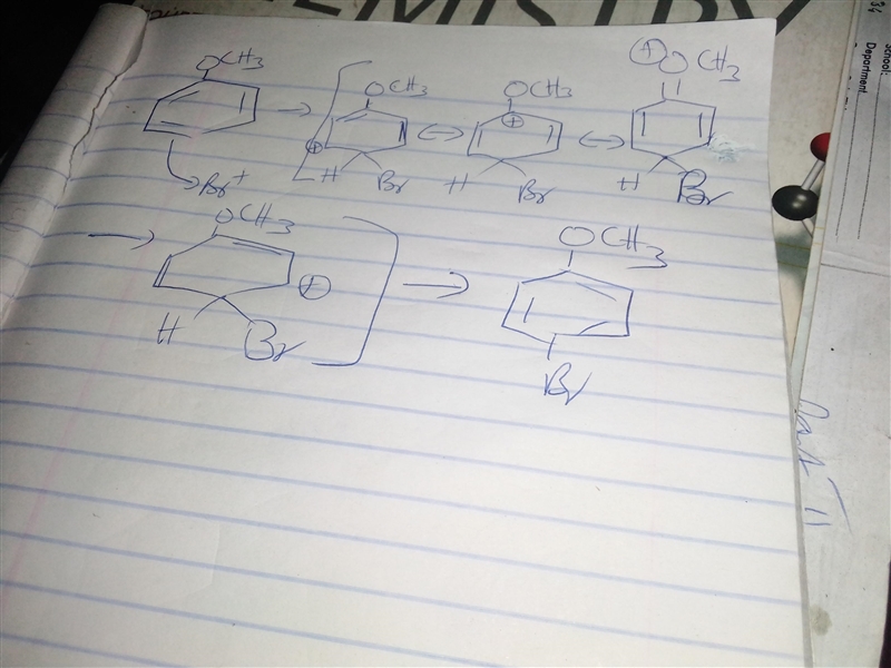 During electrophilic aromatic substitution, a resonance-stabilized cation intermediate-example-1