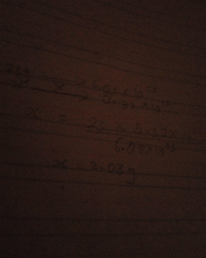 How many grams is 5.32 x 1022 atoms of Na?-example-1