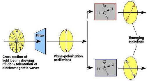 Differences between geometric isomerism and optical isomerism?​-example-1