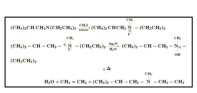 The major products obtained from the following sequence of reactions are: (CH 3) 2 CHCH-example-2