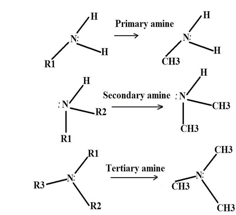 Classify the following amine as 1º, 2º, 3º or 4° (primary, secondary, tertiary, quaternary-example-1