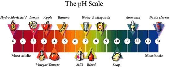 Name some acidic and alkaline substances that you use at home-example-1