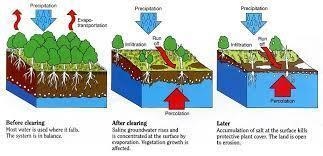 What causes salinization​-example-1