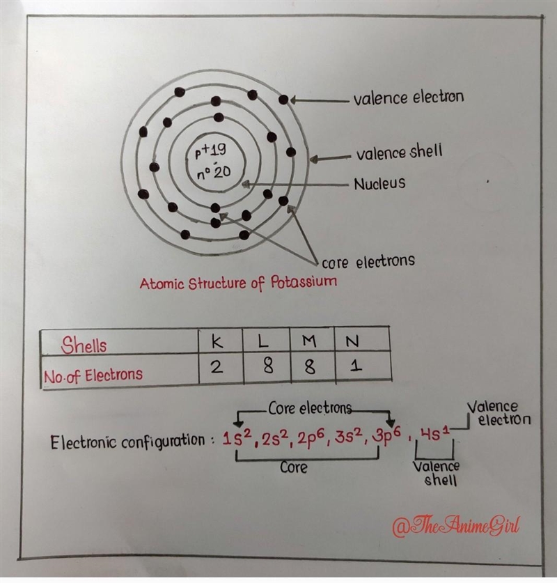 Draw the atomic structure with electronic configuration of Potassium​-example-1