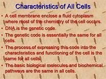 Cell and chromosome characteristics? ​-example-1