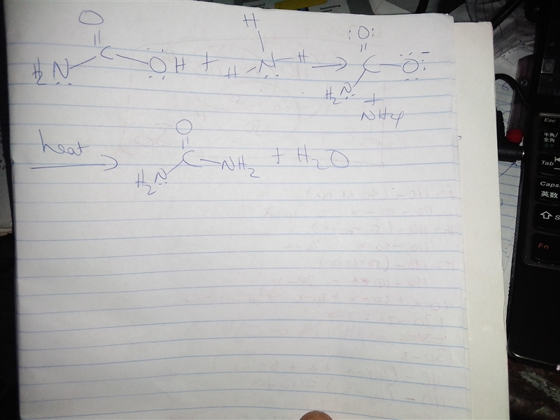 Here is the reaction of carbamic acid and ammonia to form an amide and water. There-example-1