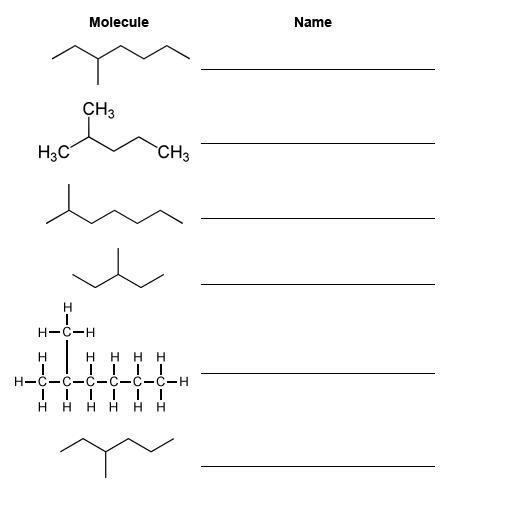 D. Write the name of the branched alkane next to the drawing of the molecule. (2 points-example-1