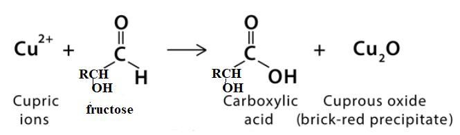 Certain ketones such as fructose can be oxidized by Benedict's reagent under basic-example-2