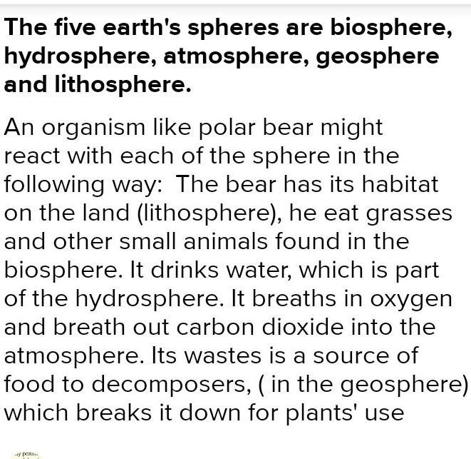 Help plz meeeeeeeeeeeeeeeeeee would illustrate each. Infer how an organism, like a-example-1