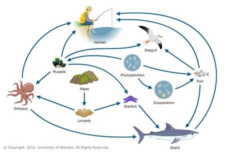 Look at the image below. List 1 biotic factor and 1 abiotic factor that you see in-example-3