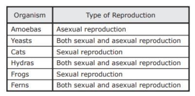 Look at the image below. List 1 biotic factor and 1 abiotic factor that you see in-example-5