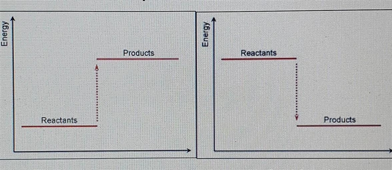 Deduce the differences that exist in the reaction represented by the diagrams. anyone-example-1