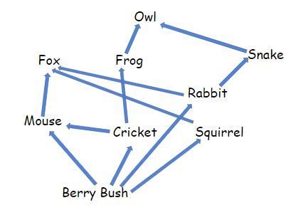 5. In the food web below, what is one example of an omnivore? fox cricket squirrel-example-1