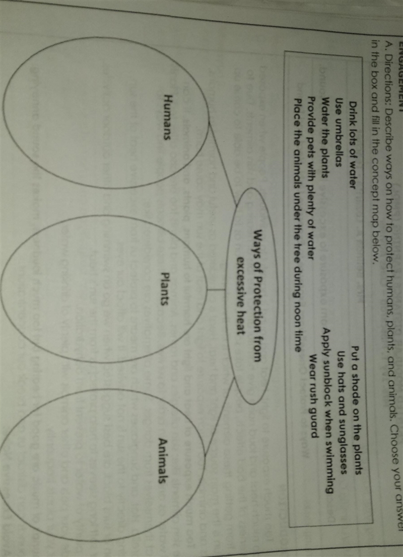 A. Directions:Describe ways on how to protect humans and plants and animals Choose-example-1