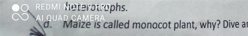 Maize is called monocot plant,why ? dive any two reasons​ opss sorry this is science-example-1