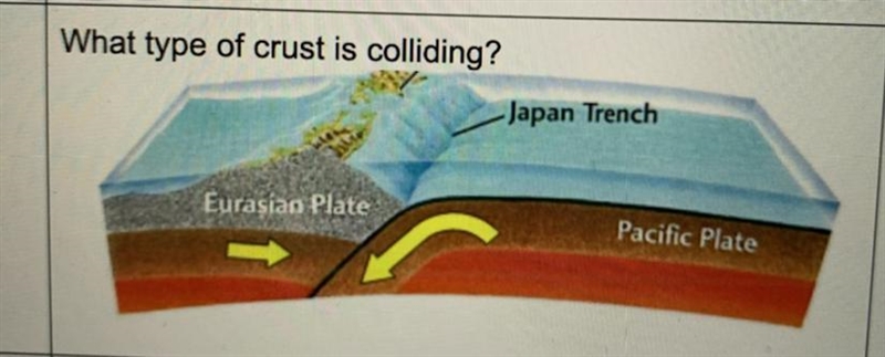 What type of crust is colliding? Japan Trench Eurasian Plate Pacific Plate-example-1