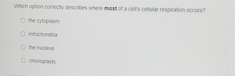 Which option correctly describes where most of a cells cellular respiration occurs-example-1