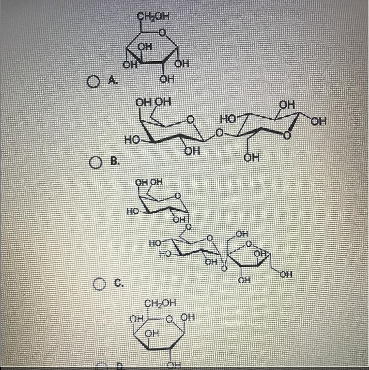 Which shows a disaccharide-example-1