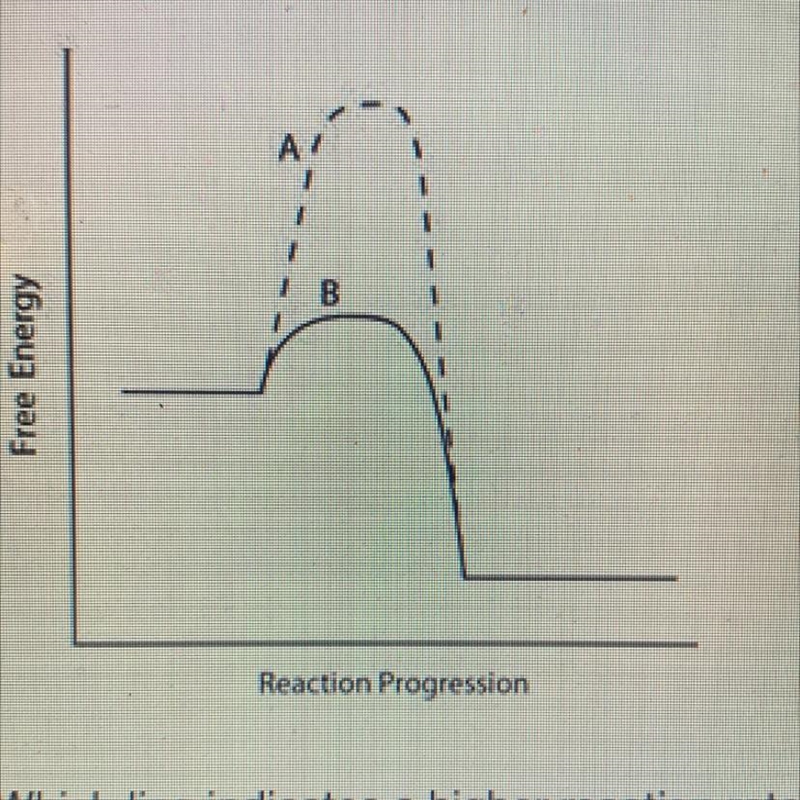 Consider the energy diagram below. AY B Free Energy Reaction Progression Which line-example-1