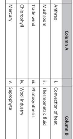 Match the following Of scinece chapter​-example-1