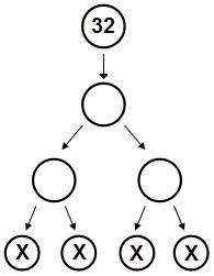 How many chromosomes should be in each cell labeled with an X? A. 32 B. 16 C. 8 D-example-1