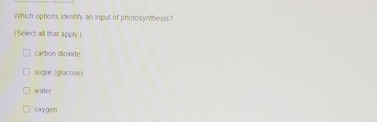 Which options identify an input of photosynthesis? 1. carbon dioxide 2. sugar (glucose-example-1