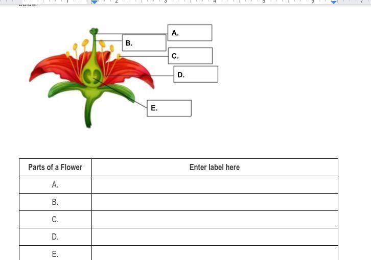 Please help me I cant remember the parts of the flower and I really need help.-example-1