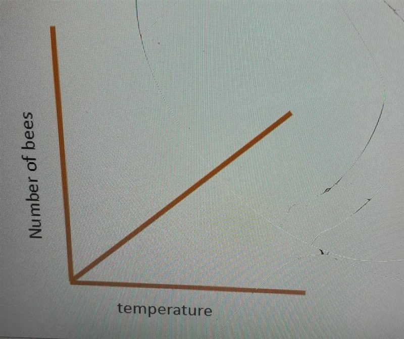 A student investigated whether the number of bees he saw was related to the temperature-example-1