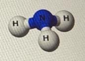 PLEASE HELP ITS RLLY IMPORTANT. Consider the model of Ammonia to the right. Which-example-1