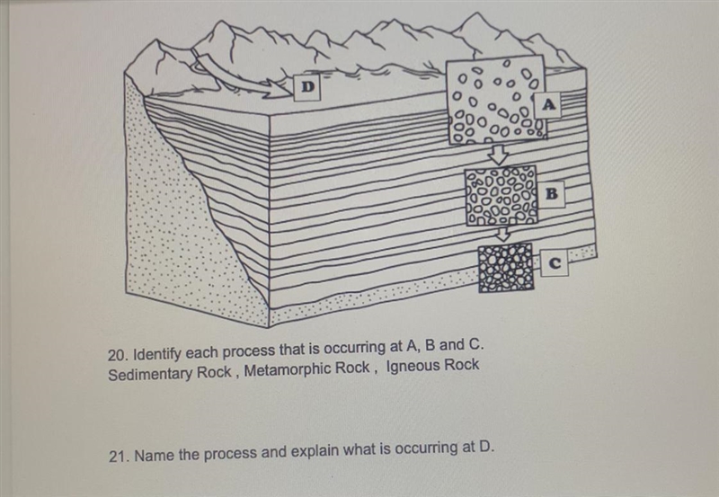 20. Identi 21. Name the process and explain what is occurring at D.-example-1