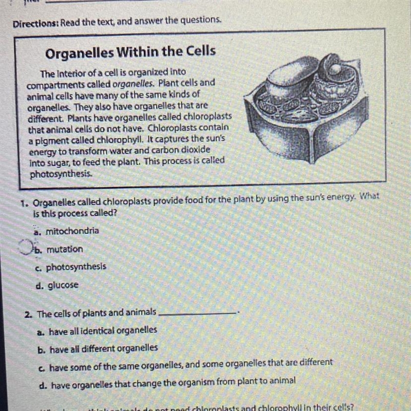 Organelles called chloroplasts provide food for the plant by using the sun's energy-example-1