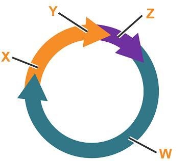 Examine the diagram of the cell cycle. Which label identifies the stage in which the-example-1