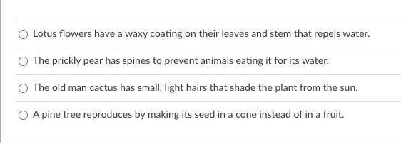 Which of the following is an example of a plant with a life cycle adaptation?-example-1