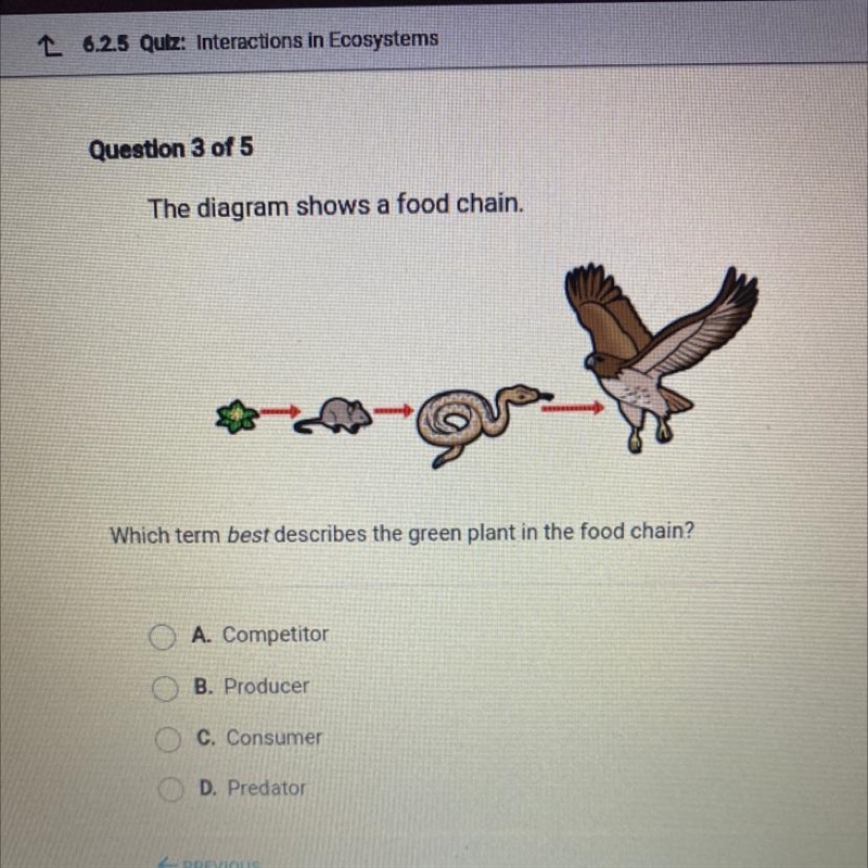 The diagram shows a food chain. Which term best describes the green plant in the food-example-1