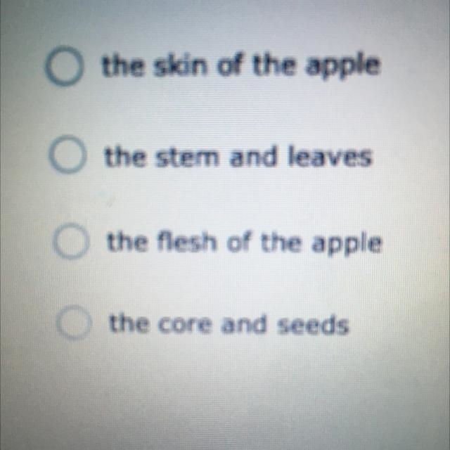 In the comparing the structure of the earth to the structure of an apple, which part-example-1